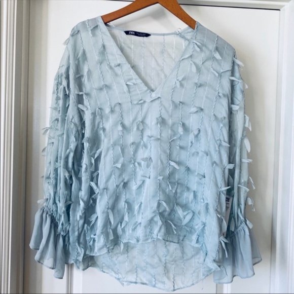 Pale Blue Daisy Sheer Top